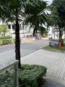 IMG_4576.JPG